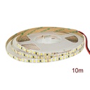 24V Bobina Striscia Led Da 10 Metri IP20 6000K 12W/M 1600 smd 2835 2000 LM/M Passo 8mm