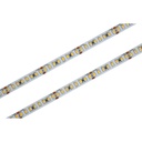 Bobina Striscia LED SMD 2835 24V, 5 Metri, Passo 10mm, Super Luminoso 16W/M, Dimmerabile PWM, Tagliabile ogni 5cm, IP20, Efficienza 160lm/W, CRI>80, MS2241