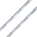 Striscia Led RGB COB,Magic Color SPI WS2811 20Pixels, 12V 12W/M 70lm/W CRI 59 Angolo 180 Dimmerabile IP20 Sezione Taglio 50mm MS21071