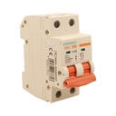 A2ZWORLD MCB Interruttore Magnetotermico Automatico Curva D 2P 2M 10000A D32A AC 400V IP20 IEC60898-1 PB8H
