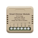 Mini Triac Dimmer Taglio di Fase WIFI 2.4G 2 Canali TUYA, Smart Life 1A AC 90-250V 50/60HZ 2X100W 40X40X18mm IP20