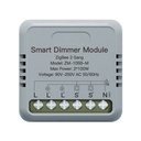 Mini Triac Dimmer ZigBee 3.0, 2 Canali 1A, TUYA, Smart Life, AC 90-250V 50/60HZ 2X100W 40X40X18mm IP20