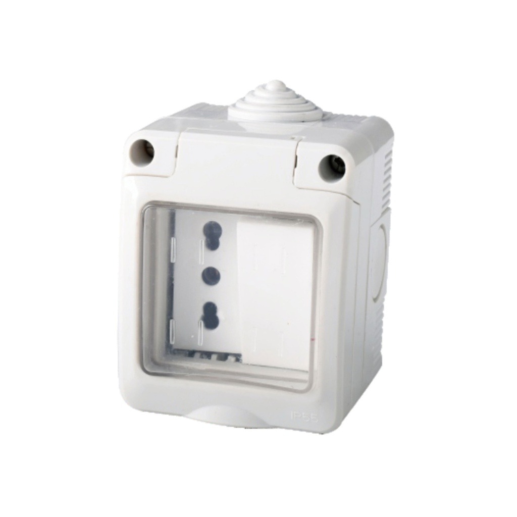 [AP83605] Kit Contenitore Cassetta Elettrica Esterna 1 Presa Bipasso 10/16A+1 Interruttore Con Coperchio Stagno IP55, Montaggio Da Parete Esterno,Omologato IMQ