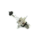 10 Pezzi Lampada Alogena Camion H4 24V 75/70W P43t