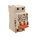 A2ZWORLD RCBO Interruttore Magnetotermico Differenziale Con Doppia Leva Tipo A Curva B 2P 2M 6000A 30mA, Diagnostica Visiva, B20A  AC 230V IP20 IEC61009-1 PL8M2