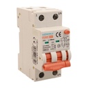 RCBO Interruttore Magnetotermico Differenziale Con Doppia Leva Tipo A Curva B 2P 2M 6000A 300mA, Diagnostica Visiva, B25A  AC 230V IP20 IEC61009-1 PL8M2