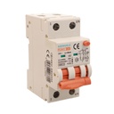 RCBO Interruttore Magnetotermico Differenziale Con Doppia Leva Tipo A Curva C 2P 2M 6000A 30mA, Diagnostica Visiva, C32A  AC 230V IP20 IEC61009-1 PL8M2 GB65332