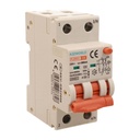 RCBO Interruttore Magnetotermico Differenziale Con Doppia Leva Tipo A Curva C 2P 2M 6000A 300mA, Diagnostica Visiva, C6A  AC 230V IP20 IEC61009-1 PL8M2 GB65606