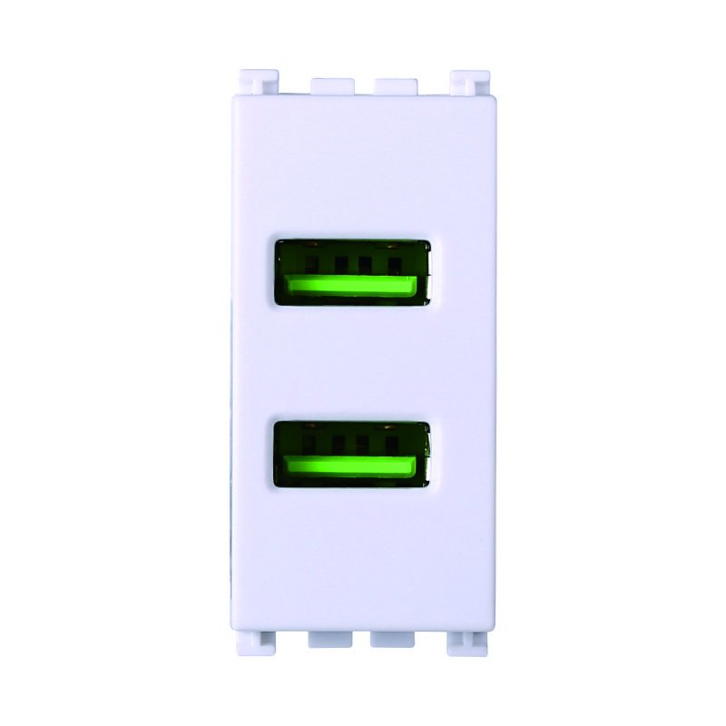 ETTROIT Modulo Presa Caricatore USB 5V 2,1A 2 Porte USB-A Colore Bianco Compatibile Con Vimar Arke