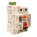 RCCB Interruttore Differenziale Puro Riarmo Automatico, Tipo AC 1P+N 3M 6000A 300mA 40A AC 230V IP20 IEC61008-1 PR8NM