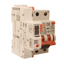 RCBO Interruttore Magnetotermico Differenziale Con Riarmo Automatico, Tipo A Curva B 2P Veri 3M 6000A 30mA, B16A  AC 230V IP20 PL8M2, 3 Tentativi (10s/60s/300s)