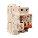 RCBO Interruttore Magnetotermico Differenziale Con Riarmo Automatico, Tipo A - SI Curva B 2P Veri 3M 6000A 300mA, B6A  AC 230V IP20 PL8M2, 3 Tentativi (10s/60s/300s)