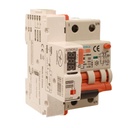 RCBO Interruttore Magnetotermico Differenziale Con Riarmo Automatico, Tipo A Curva B 2P Veri 3M 6000A 300mA, B16A  AC 230V IP20 PL8M2, 3 Tentativi (10s/60s/300s)