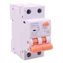 A2ZWORLD AFDD RCBO Interruttore Antincendio, Magnetotermico Differenziale con Rilevamento Di Arco Elettrico, Tipo A Curva C, 1P+N 2M 6000A 30mA, AC 220V Doppia Leva, GYR9NE-ARC