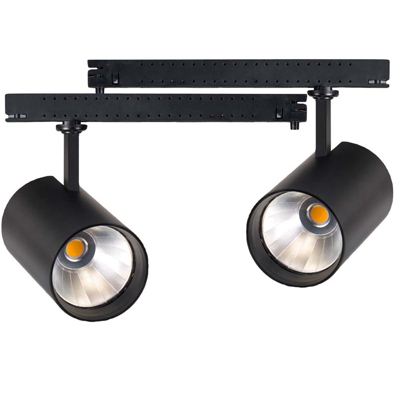 2 Kit Fari LED Binario Trifase 30W 4000LM, Corpo Nero, CRI>90 UGR<19 Angolo 120°, D85X128mm, Driver Alimentatore a Scomparsa Lunga 289mm