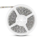 Striscia LED SMD 5050 12V, 11W/m 300 LED, bobina 5m IP20