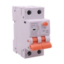 AFDD RCBO Interruttore Antincendio, Magnetotermico Differenziale con Rilevamento di Arco Elettrico, Tipo A Curva B, 1P+N 2M 6000A 30mA, AC 220V Doppia Leva GYR9NE-ARC