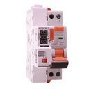 RCBO Interruttore Magnetotermico Differenziale Tipo F WIFI Con Riarmo Automatico, Curva C 1P+N 2M 6000A 30mA AC 230V IP20, Corrente Disponibili 6A 10A 16A 20A 25A 32A 40A