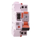 RCBO Interruttore Magnetotermico Differenziale Tipo F con Riarmo Automatico, Curva C 1P+N 2M 6000A 30mA AC 230V IP20, Corrente Disponibili 6A 10A 16A 20A 25A 32A 40A