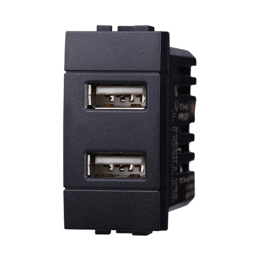 [BLN2402] ETTROIT Modulo Presa Caricatore USB 5V 2,1A 2 Porte USB-A Colore Nero Compatibile Con Bticino Living International