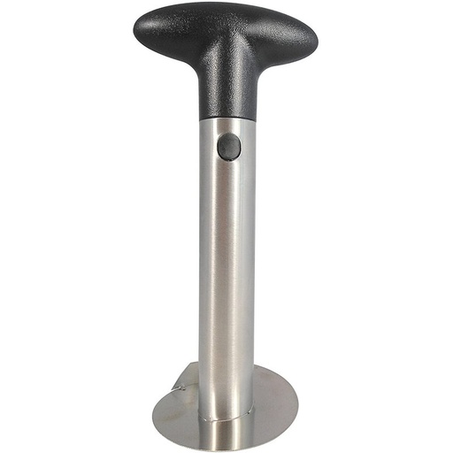 [AB207055] Taglia Ananas in Acciaio Inox