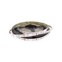 Bobina Striscia Led Biadesivo 5 Metri 300 SMD 3528 DC 12V Bianco Freddo Senza Silicone DC 12V