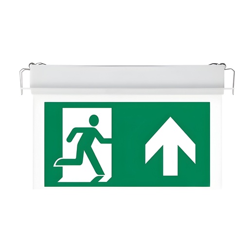 [LP0521F] Kit Emergenza Da Incasso Soffitto Modalita SA e SE Led Samsung 2W 3 Ore Autonomia Indicatore Uscita Emergenza Bianco Freddo IP20 SKU-835