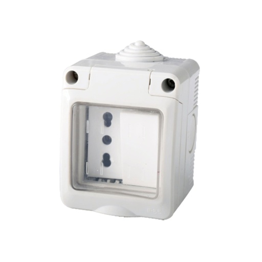[AP83605] Kit Contenitore Cassetta Elettrica Esterna 1 Presa Bipasso 10/16A+1 Interruttore Con Coperchio Stagno IP55, Montaggio Da Parete Esterno,Omologato IMQ