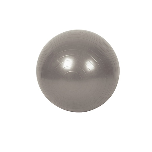 [AD341219] Palla Pilates Fitness Da Ginastica Yoga Grande 65cm Colore Assortito