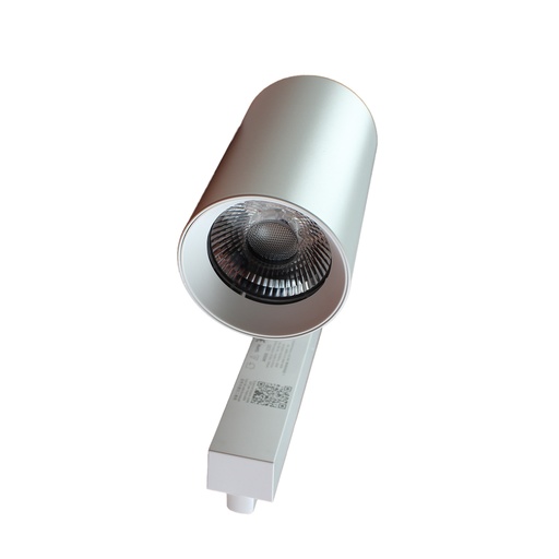 [CB017WN] 2 Pezzi Faro Bianco Mono Fase 30W 4000K
